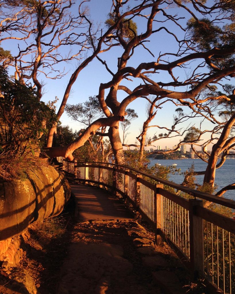 The harbourside walking track near Bradleys Head