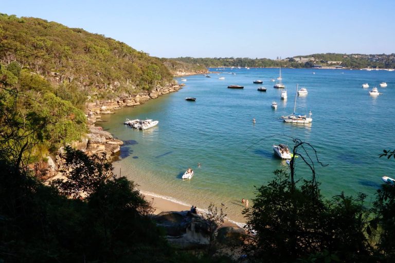 A view of Castle Rock Beach from the Spit to Manly walking track