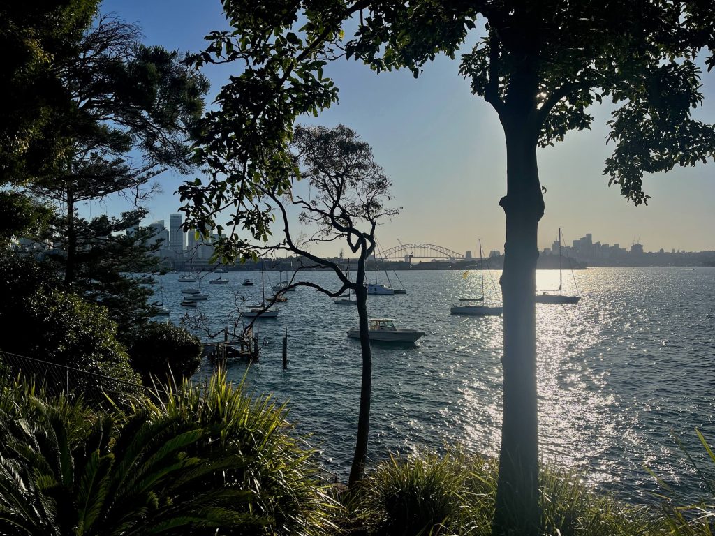 A view of Sydney Harbour from McKell Park in Darling Point