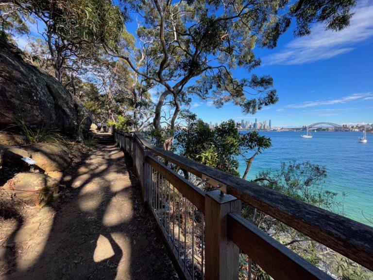 A view from a tree-lined walking track alongside Sydney harbour looking towards the city skyline.