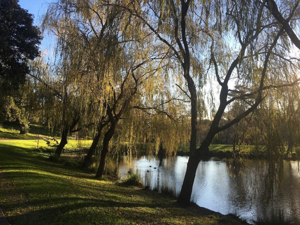 Centennial Parklands in Sydney