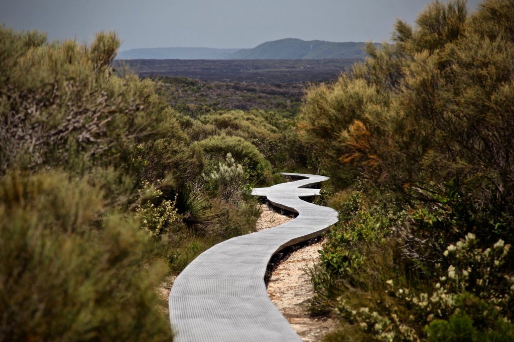 The Coast Track in Royal National Park