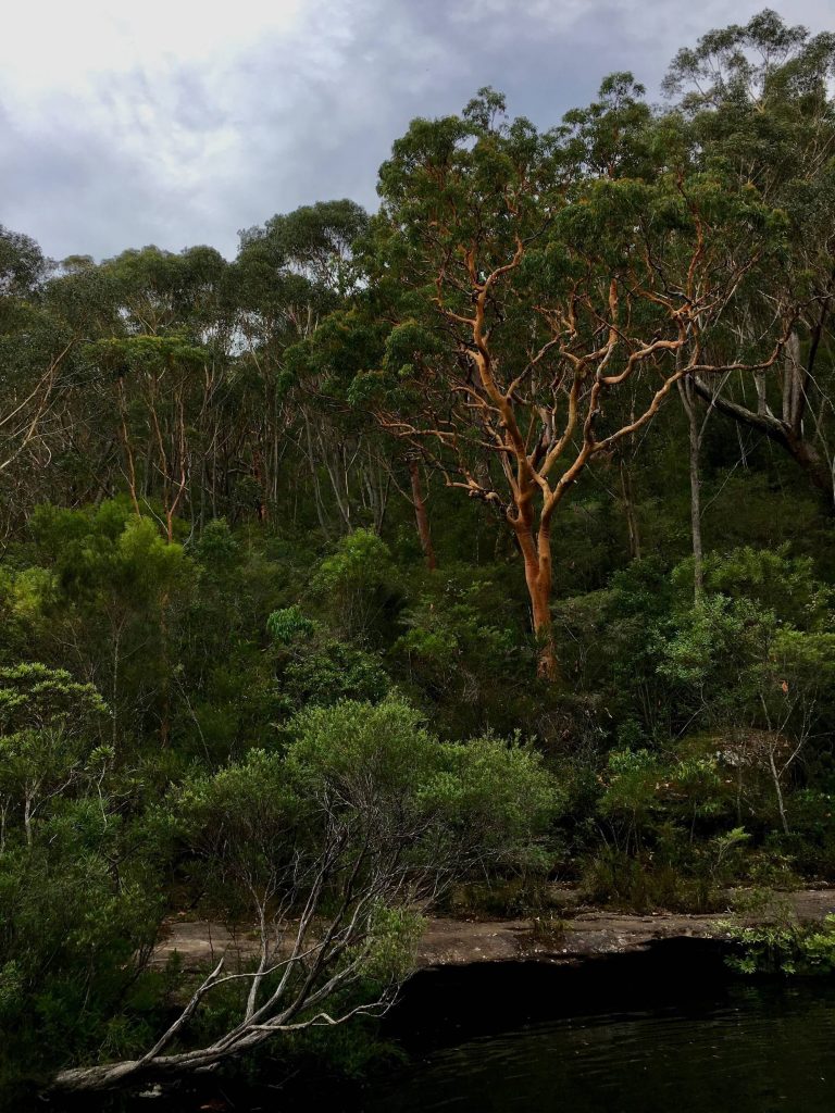 Karloo Pool in Royal National Park