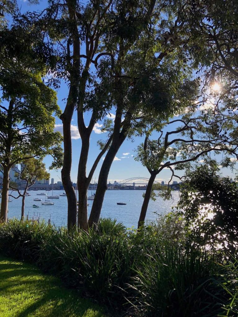 A view of the harbour from McKell Park at Darling Point