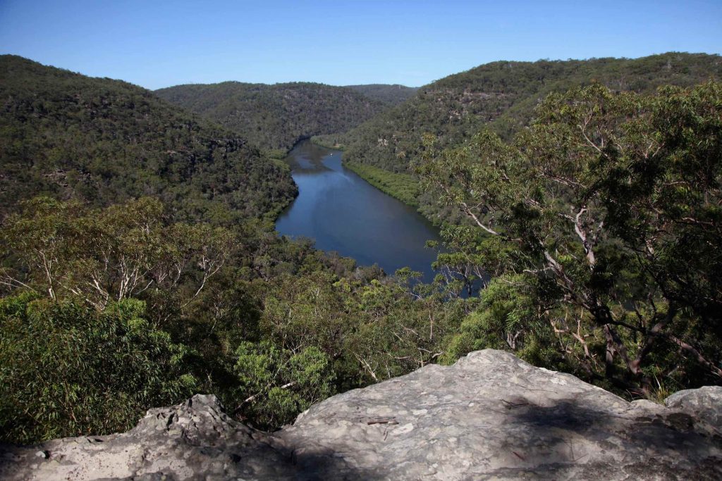 Naa Badu Lookout in the Berowra Valley