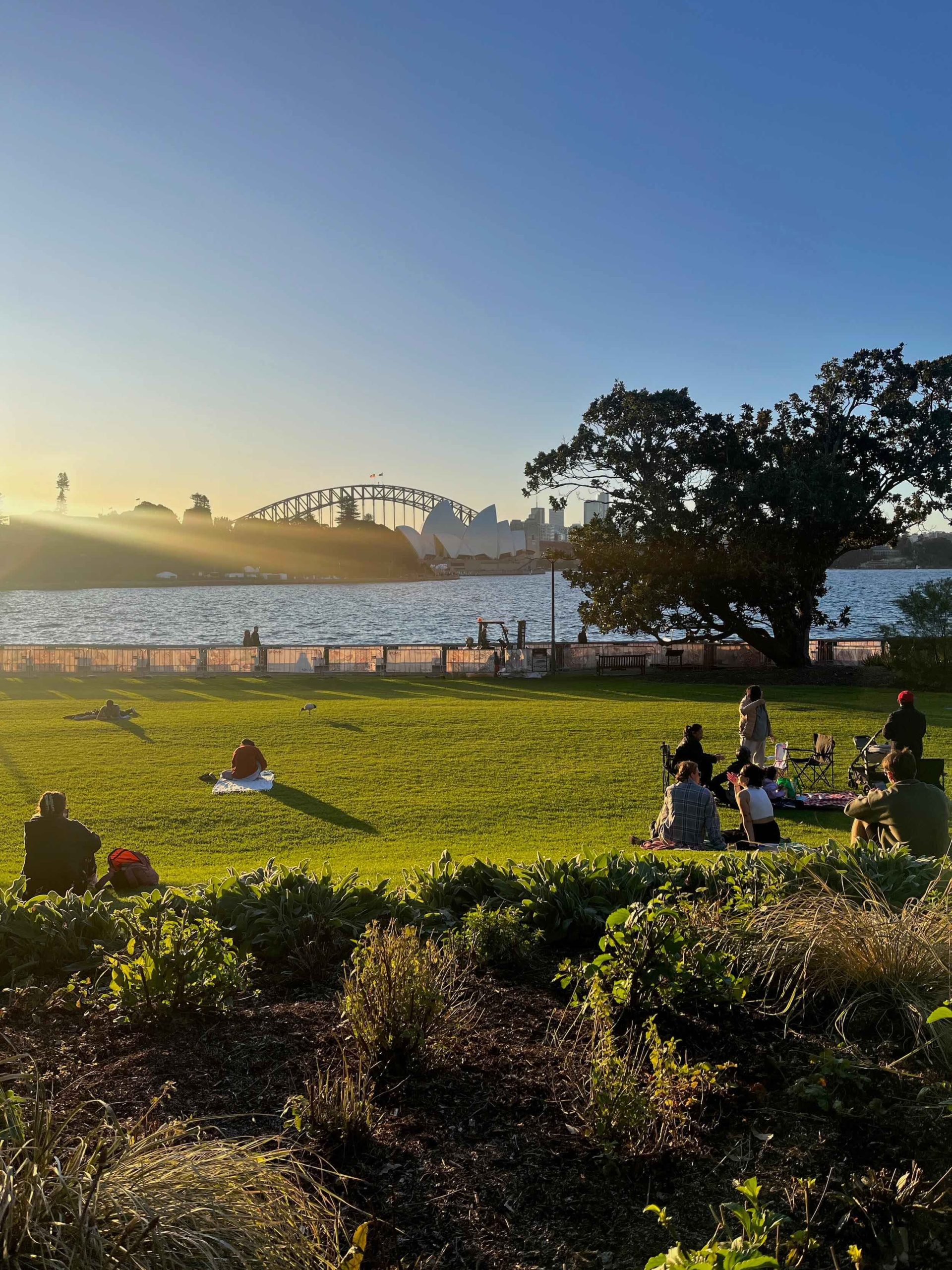 free-things-to-do-in-sydney-31-activities-that-ll-cost-you-nothing-but