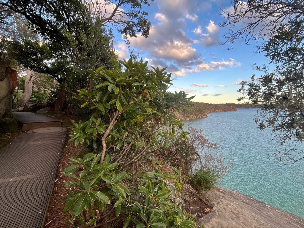 A view on the Spit to Manly Walk