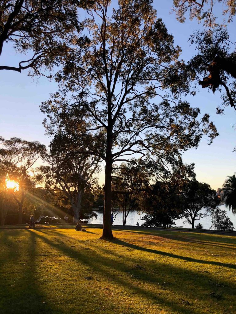 Royal Botanic Garden Sydney