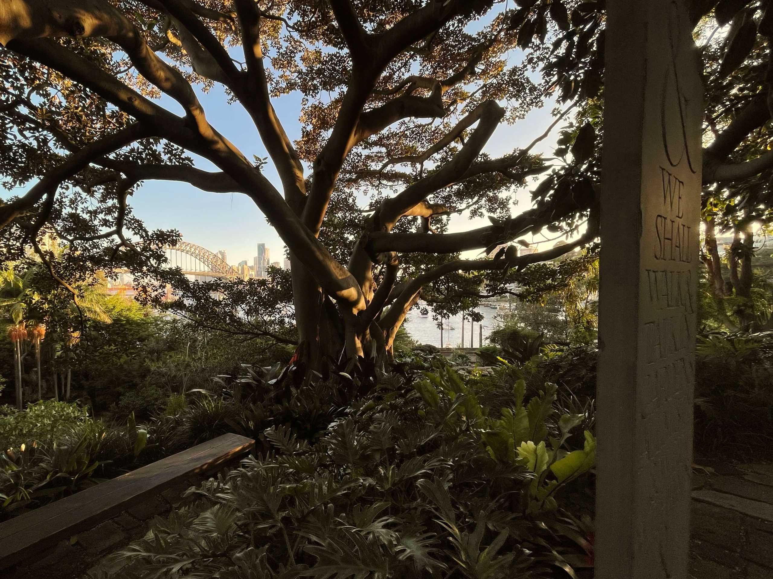 Wendys Secret Garden in Lavender Bay