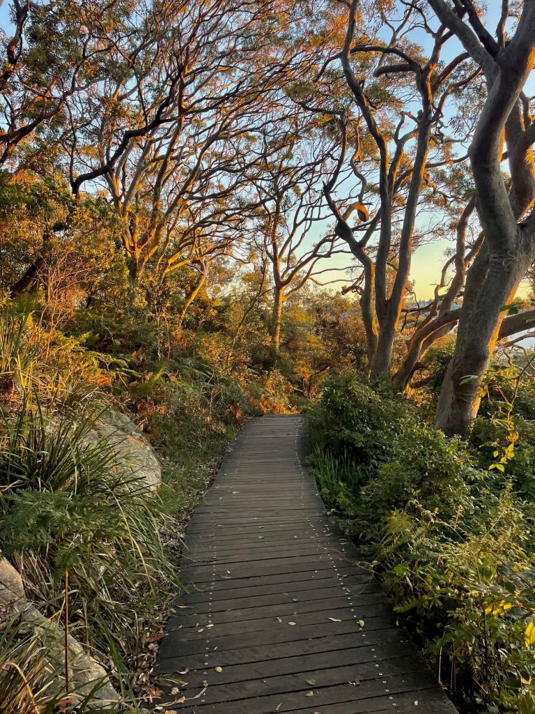 Hermitage Foreshore walking path