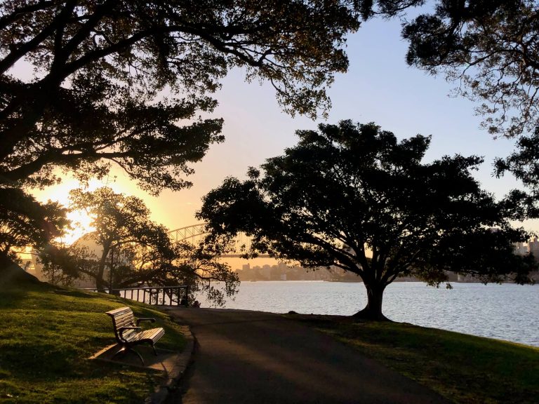 Sydney sunset view