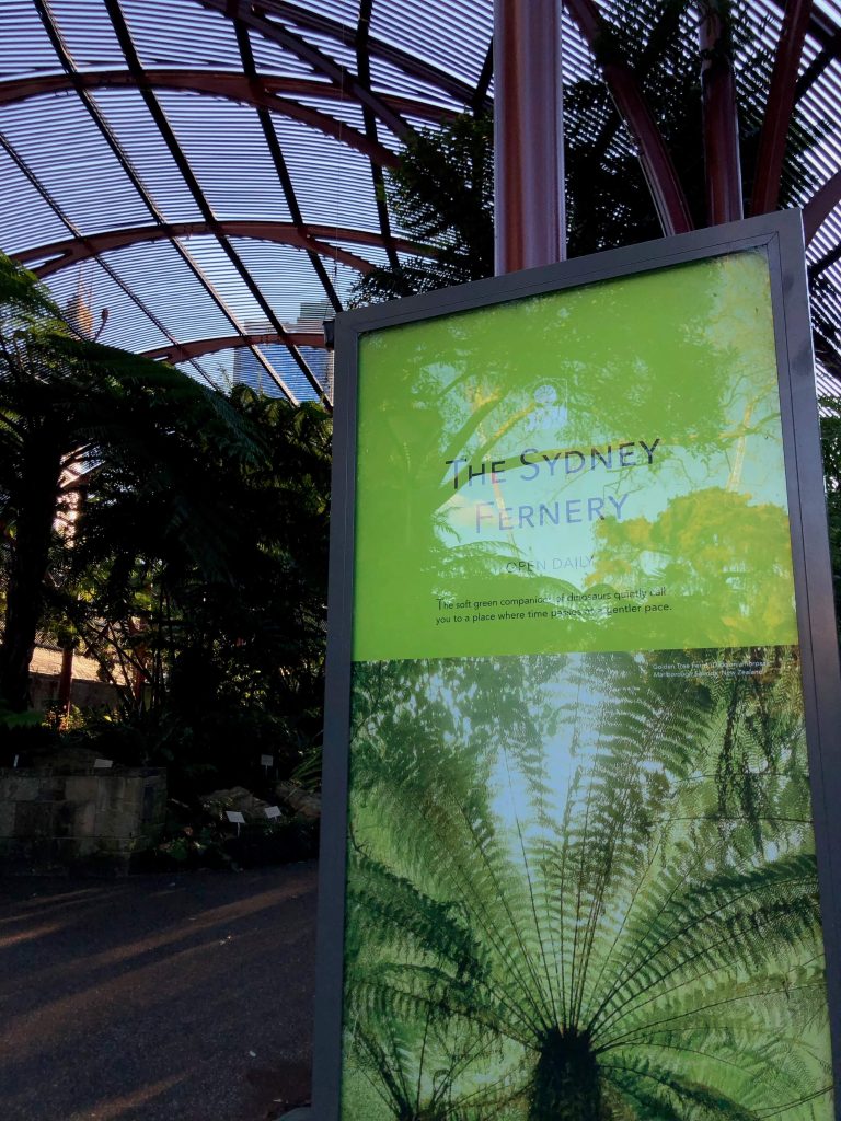 The Fenery in Sydney Royal Botanic Garden