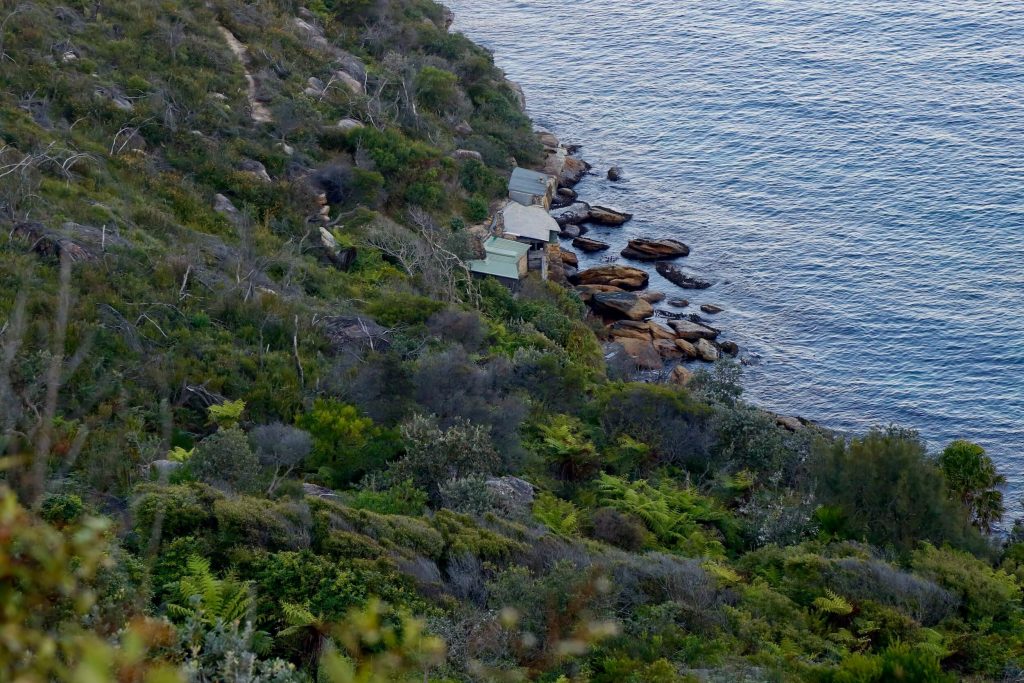 A view of the Crater Cove Huts from Dobroyd Head