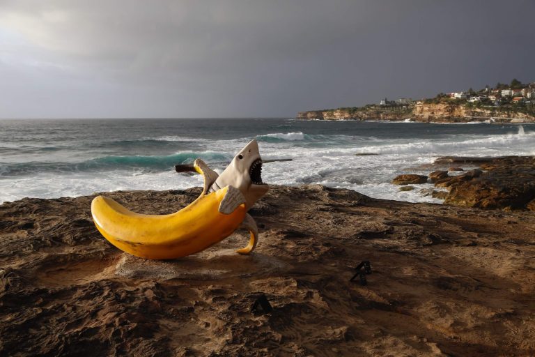 Sculpture by the Sea Bondi