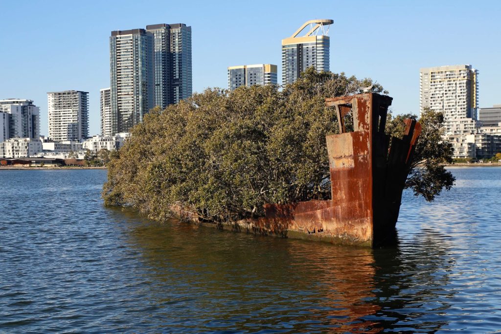 101 Outdoor Activities in Sydney SS Ayrfield at Homebush Bay