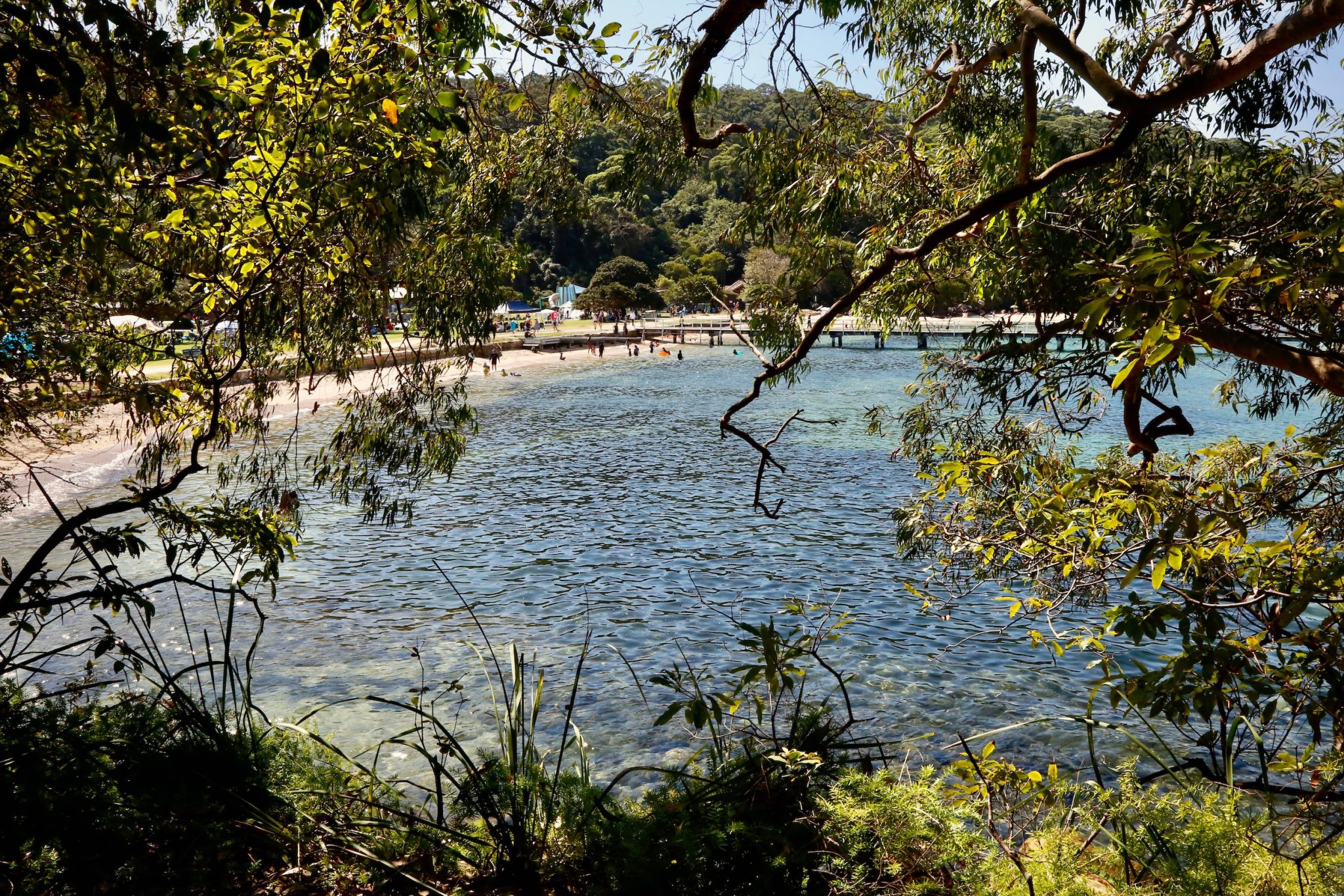 Chowder Bay Where to Swim in Sydney Harbour - Sydney Outdoors
