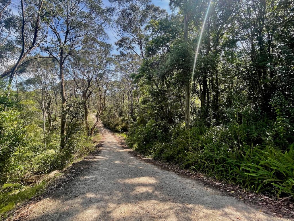 North Ryde to Thornleigh on the Great North Walk