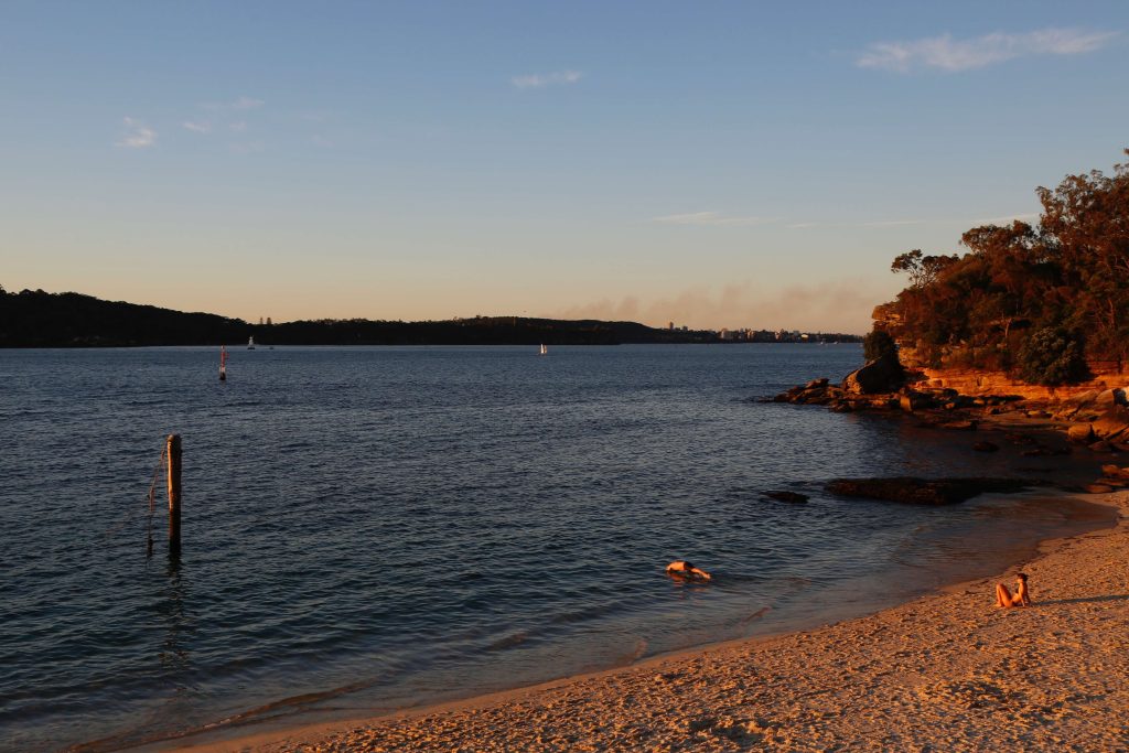 shark beach sydney harbour swimming