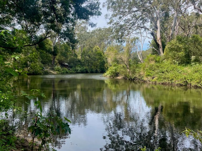 Lane Cove River in Lane Cove National Park