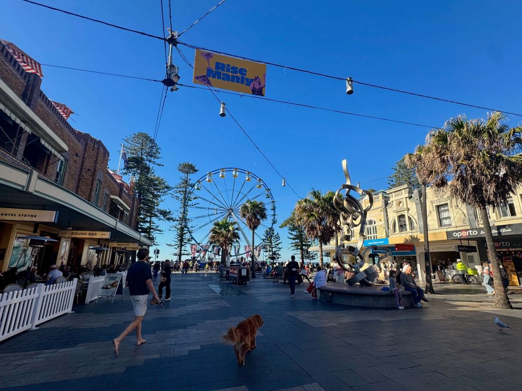 rise manly corso