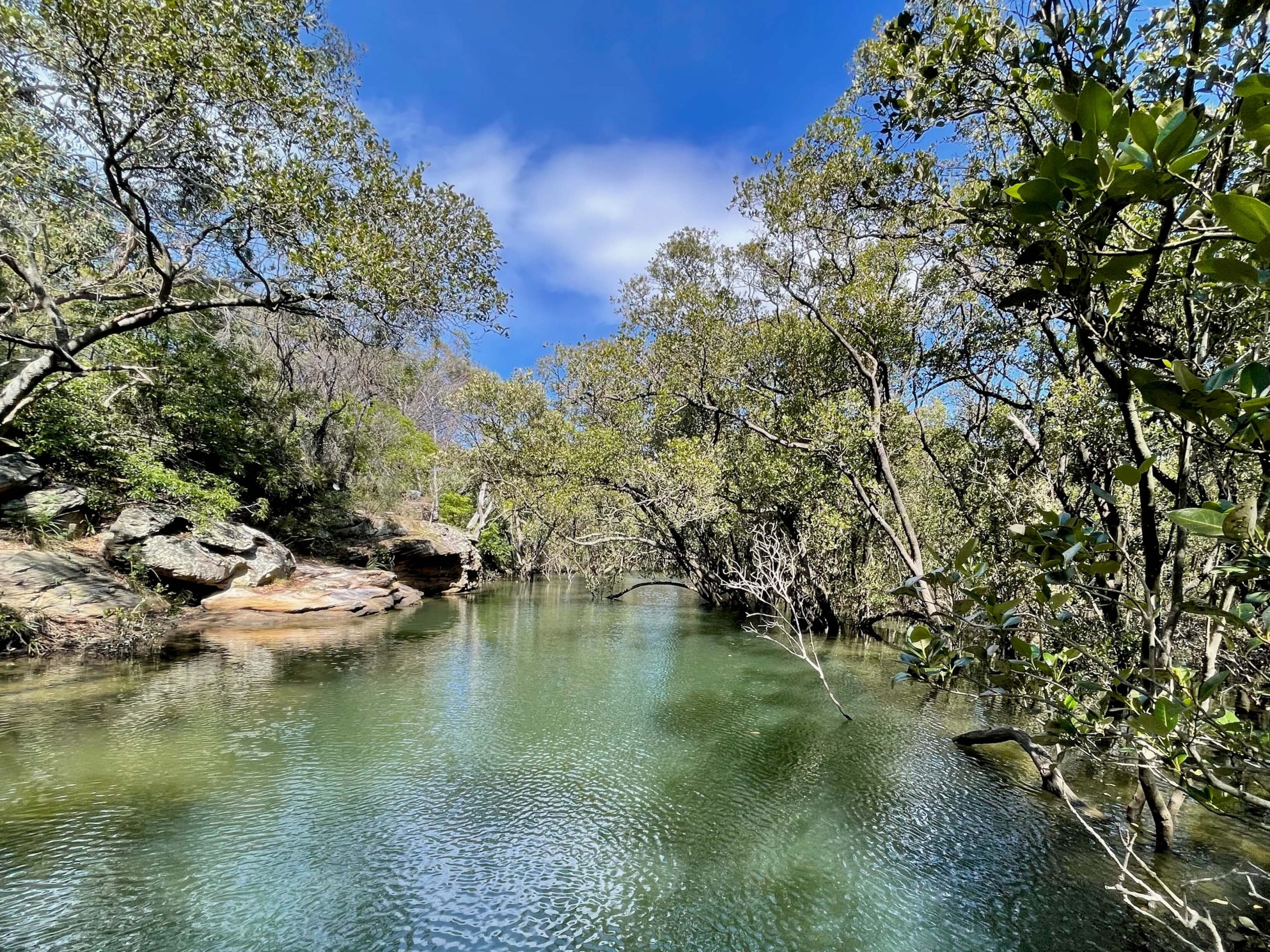 A view on the walk from Sydney Cove to North Ryde