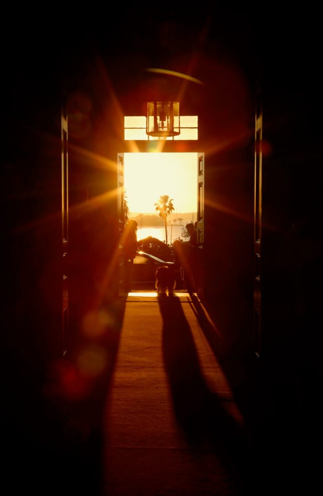 Winter Solstice at Elizabeth Bay House