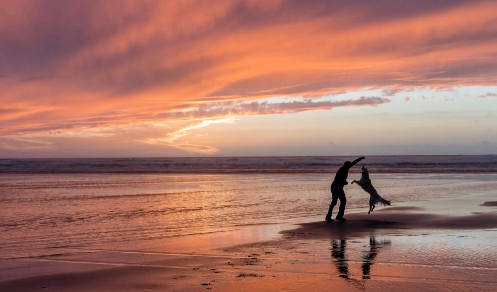 Dog beach at sunset