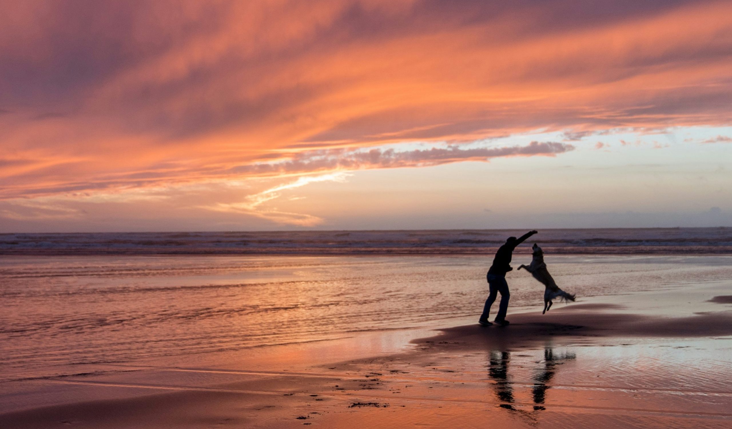 Dog beach at sunset