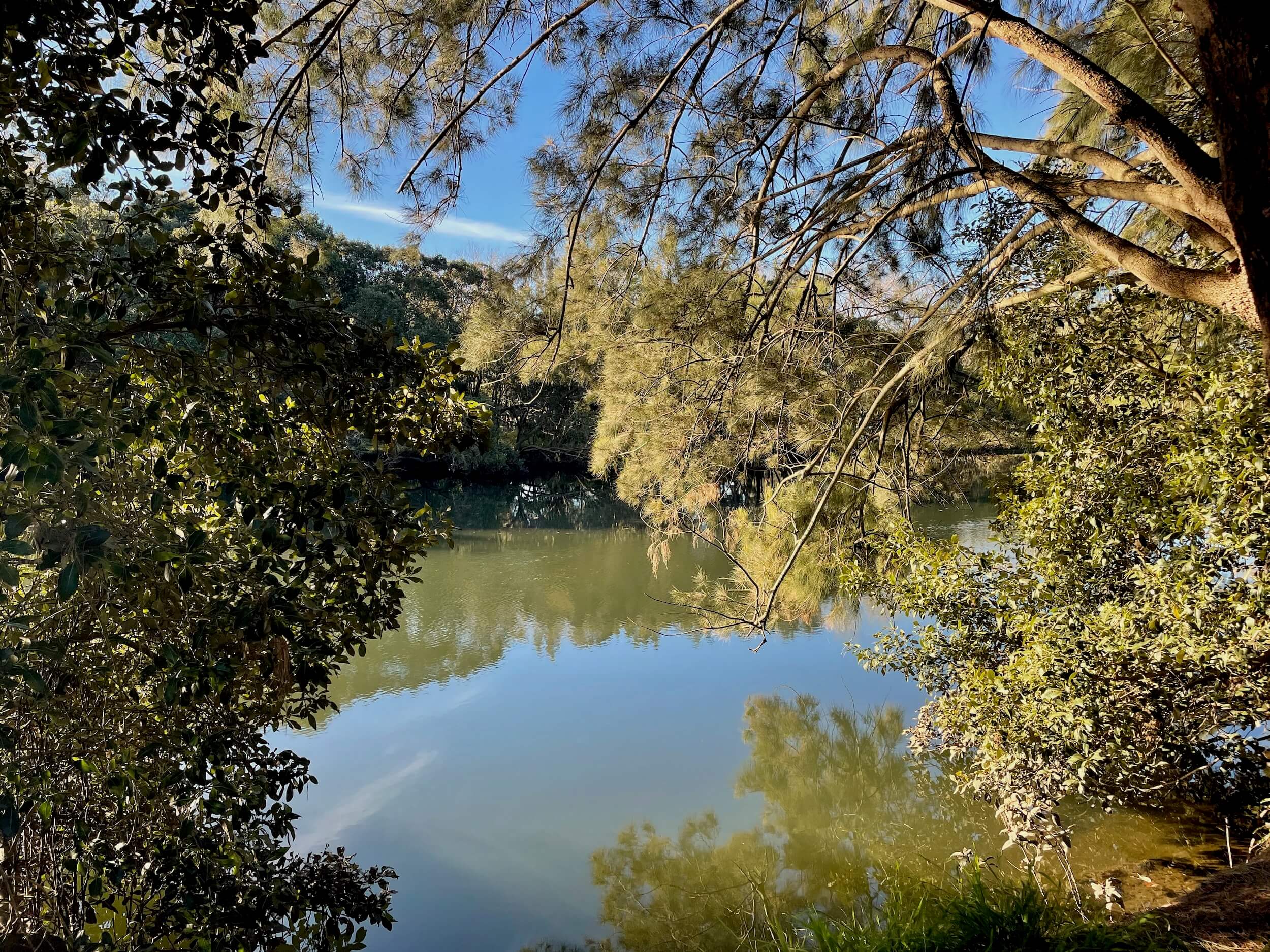 Cooks River
