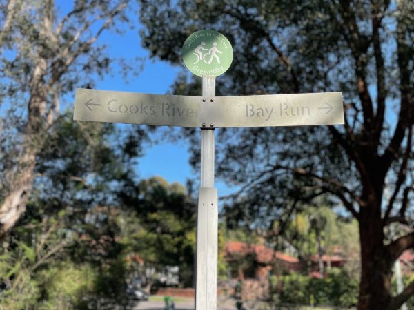 15 Dog Friendly Walks in Sydney - Sydney Outdoors