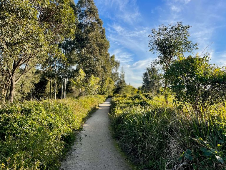 Walk the Two Valley Trail in South West Sydney