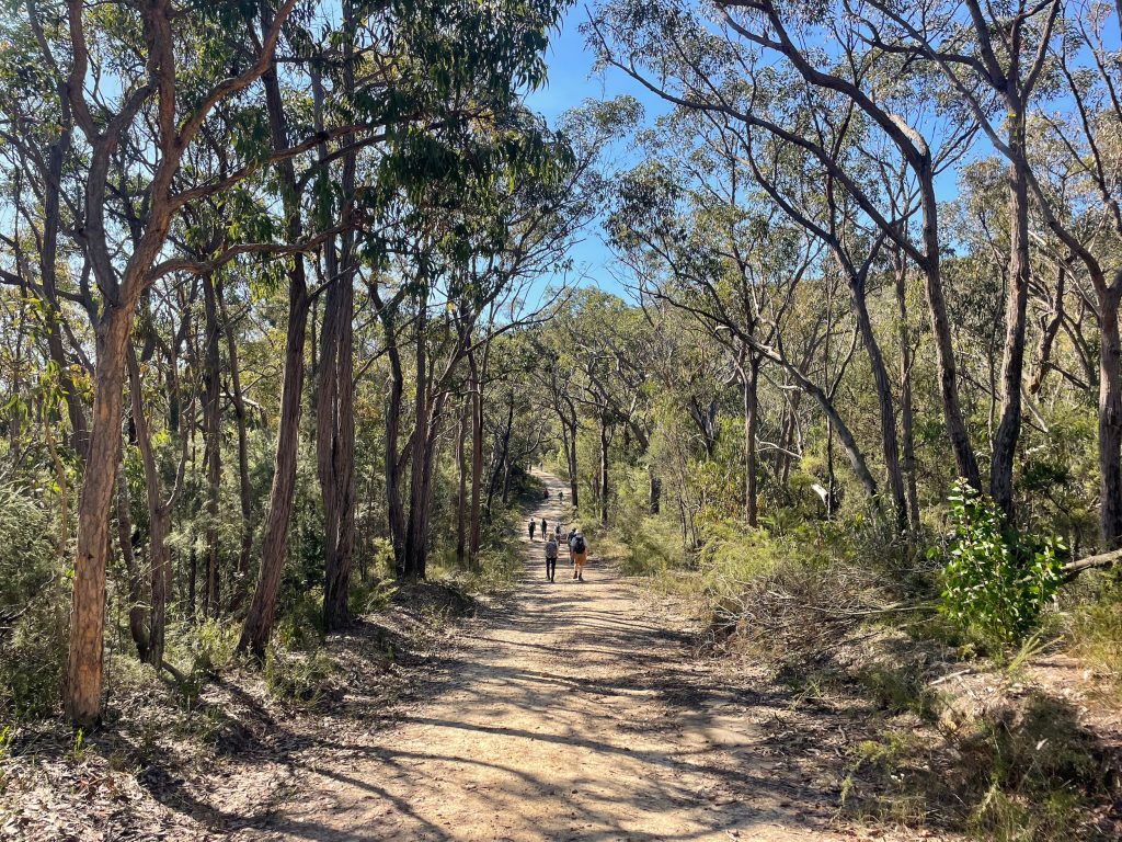 Patonga to Wondabyne on the Great North Walk