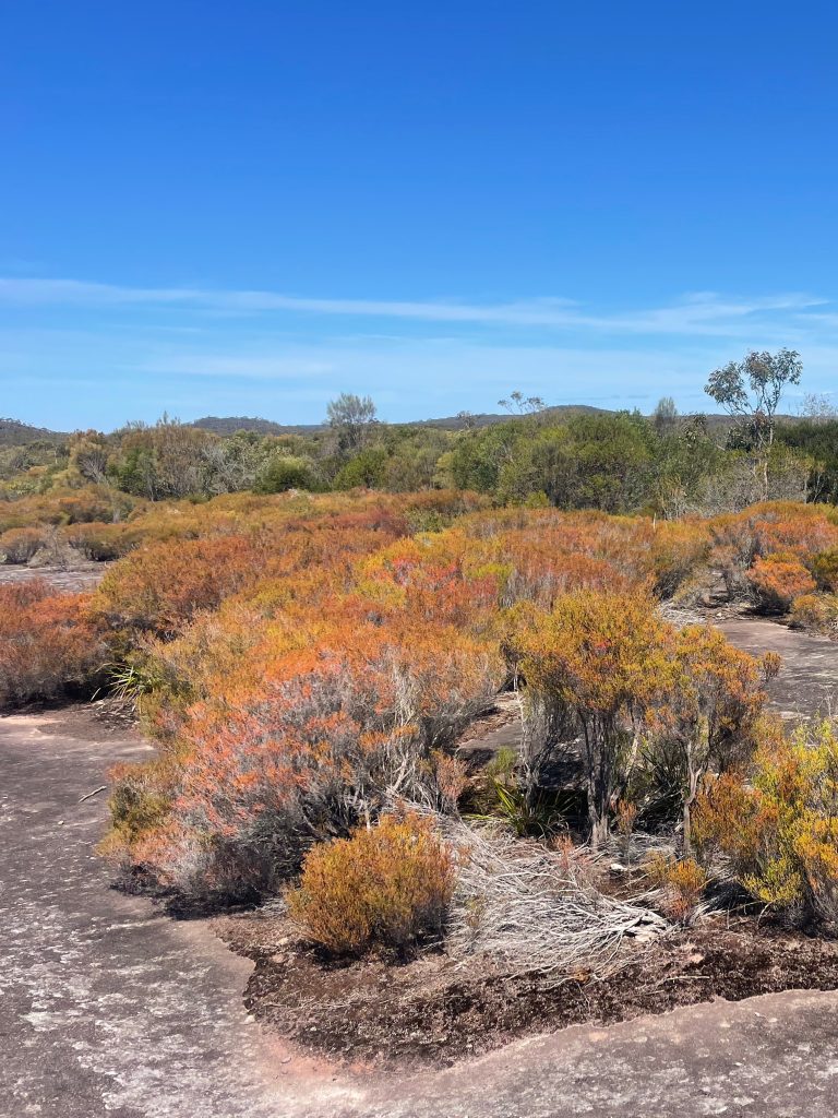 Brisbane Water National Park