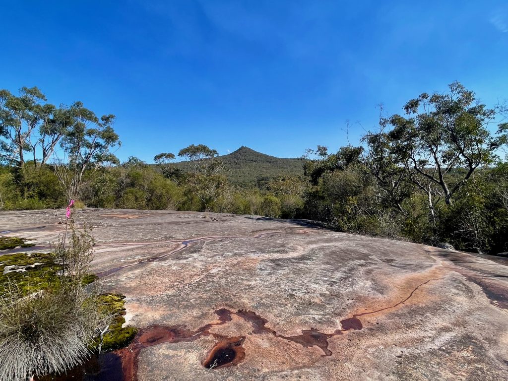 view of mount wondabyne