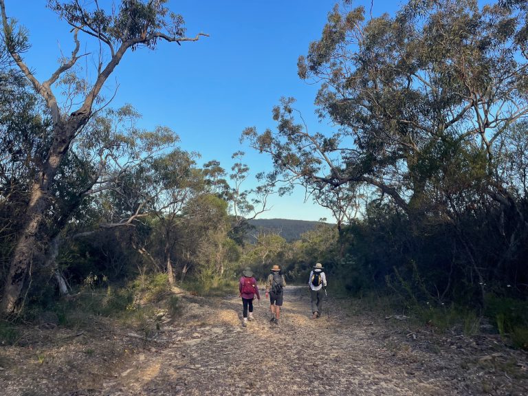 walking track wondabyne