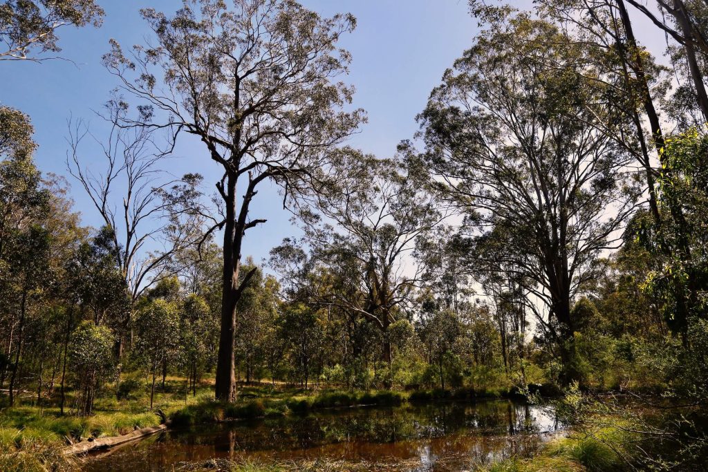 The Australian Botanic Garden Mount Annan Australian Botanic Garden Mount Annan