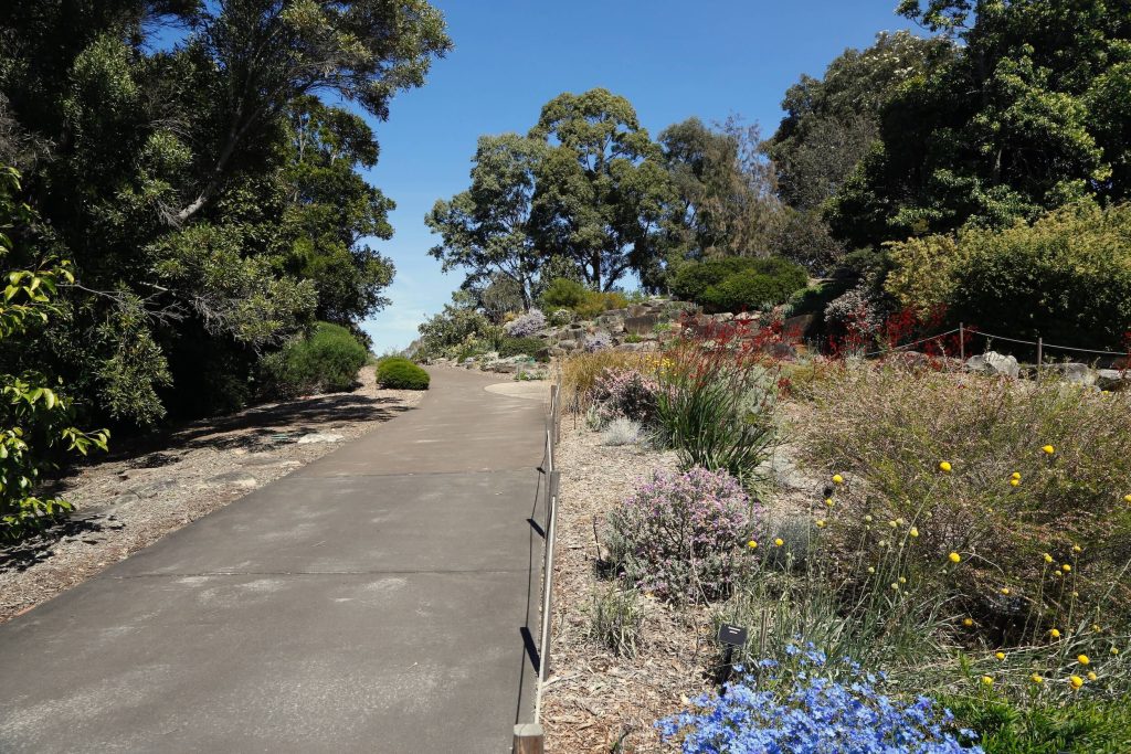 Path at the Australian Botanic Garden Mount Annan