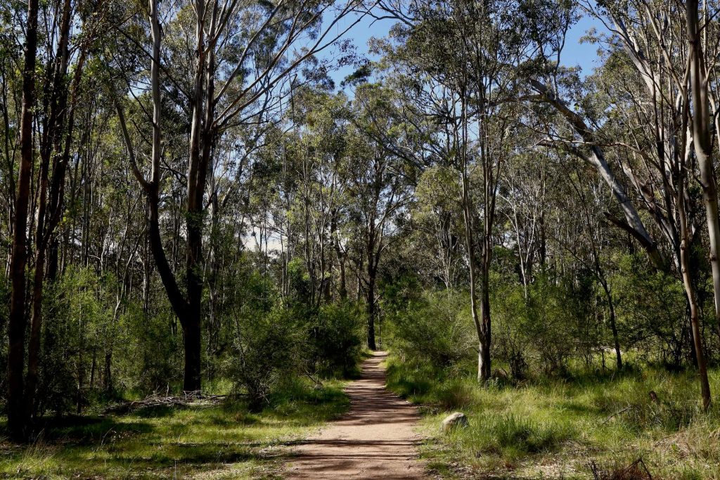 The Australian Botanic Garden Mount Annan Walking path at Australian Botanic Garden Mount Annan