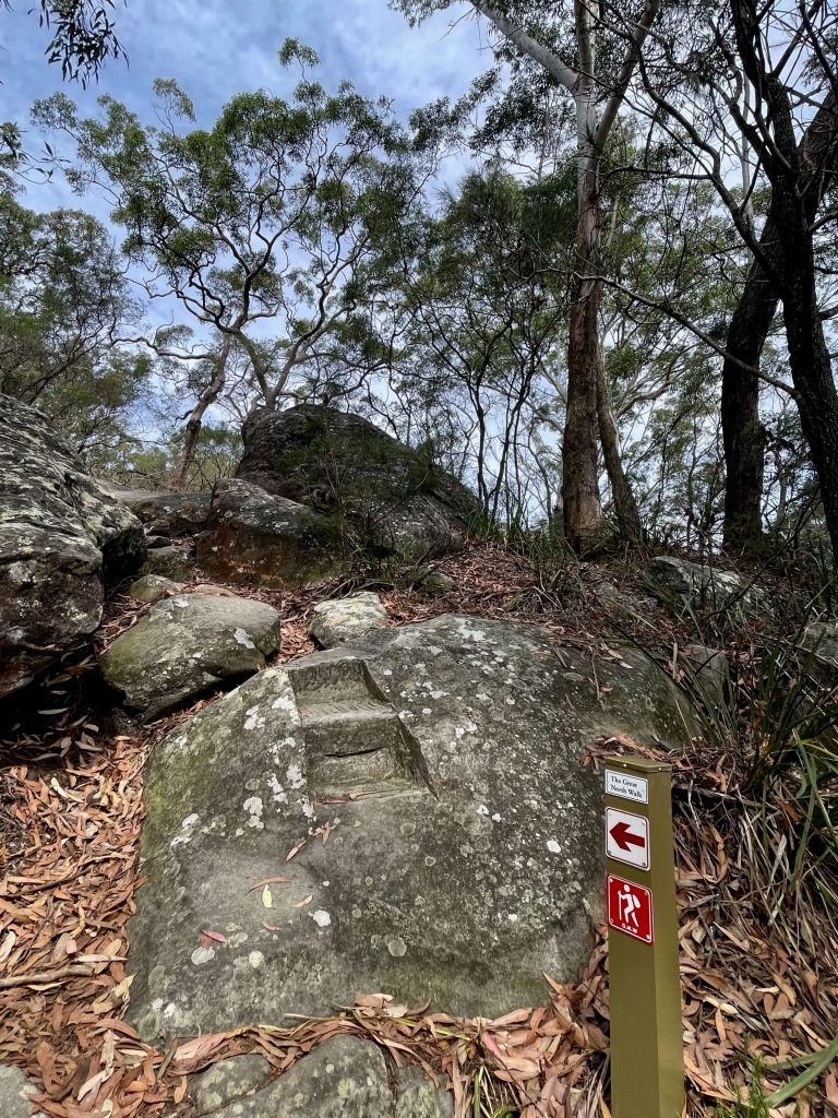 Great North Walk: North Ryde to Thornleigh gnw bush near lane cove river