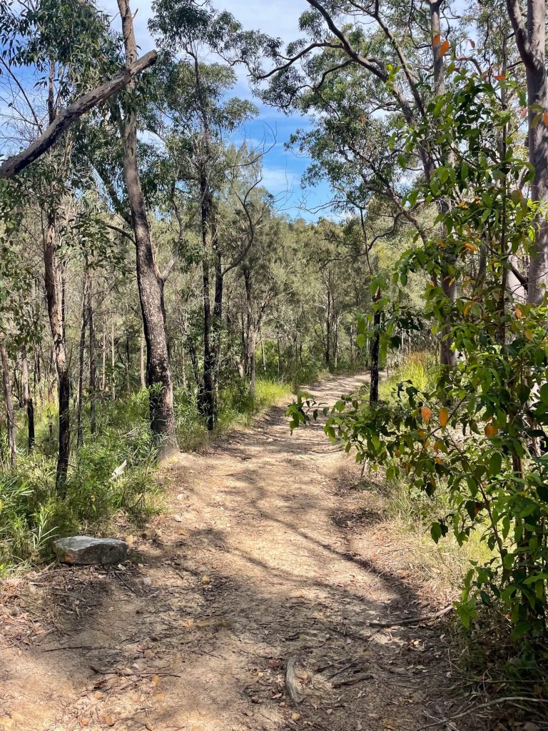 Great North Walk: North Ryde to Thornleigh gnw lane cove national park