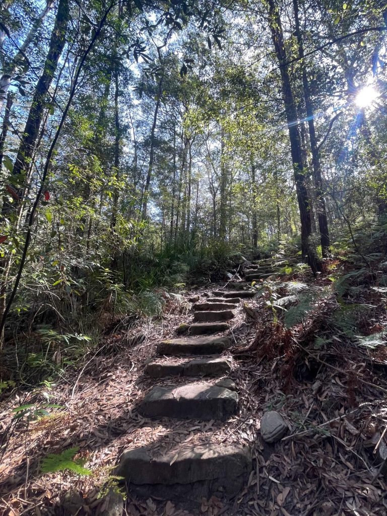 Great North Walk: North Ryde to Thornleigh gnw thornleigh stone steps