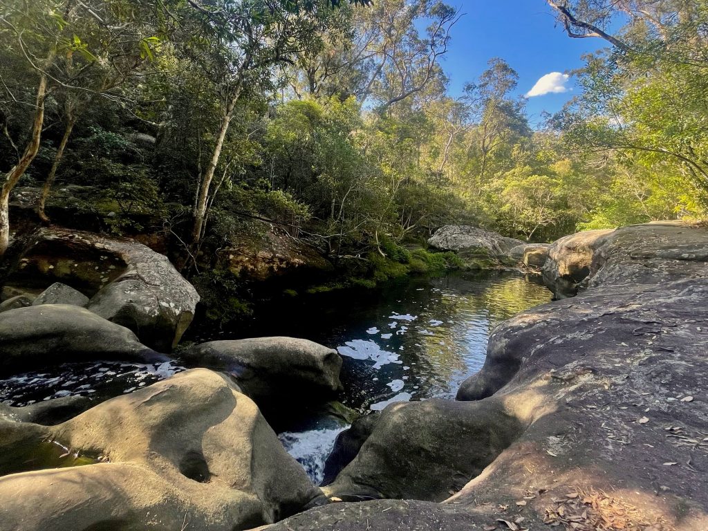 Creek on Great North Walk and Blue Gum Track near Hornsby