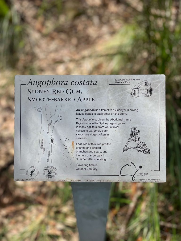 Great North Walk: North Ryde to Thornleigh lane cove national park tree sign