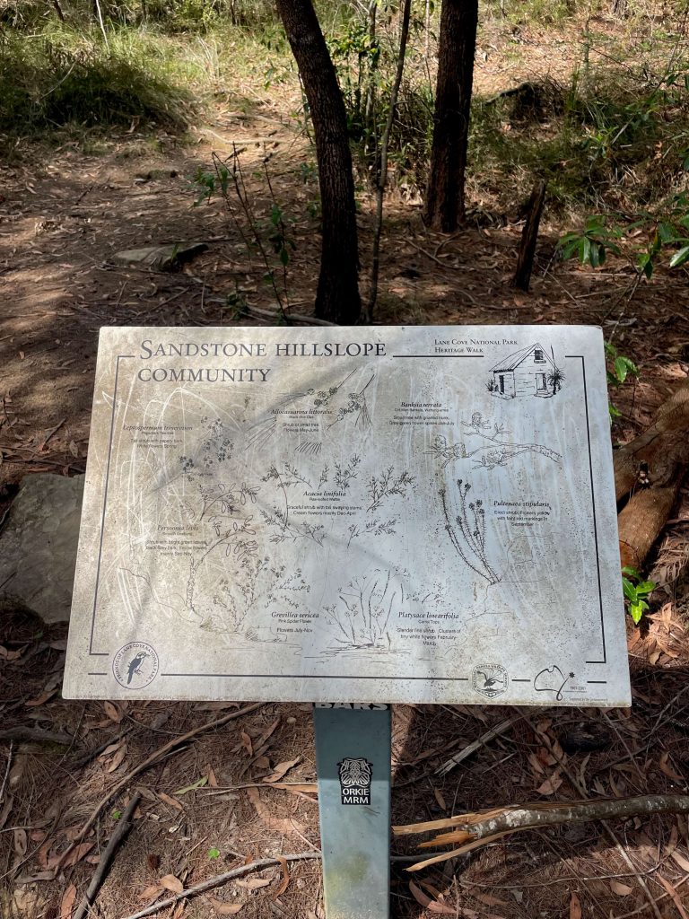 Great North Walk: North Ryde to Thornleigh lane cove np plants