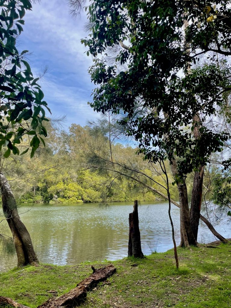Great North Walk: North Ryde to Thornleigh lane cove river near fairyland