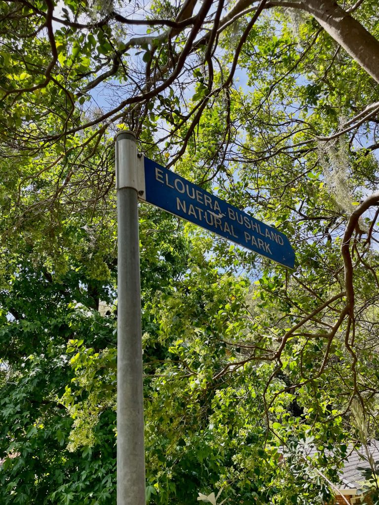 Great North Walk: Thornleigh to Hornsby (Elouera Walk) Elouera Bushland Natural Park signpost on Morgan St in Thornleigh