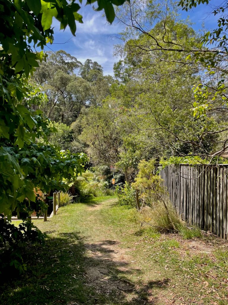 Great North Walk: Thornleigh to Hornsby (Elouera Walk) Track from Morgan St into the Bushland of the Great North Walk between Thornleigh and Hornsby