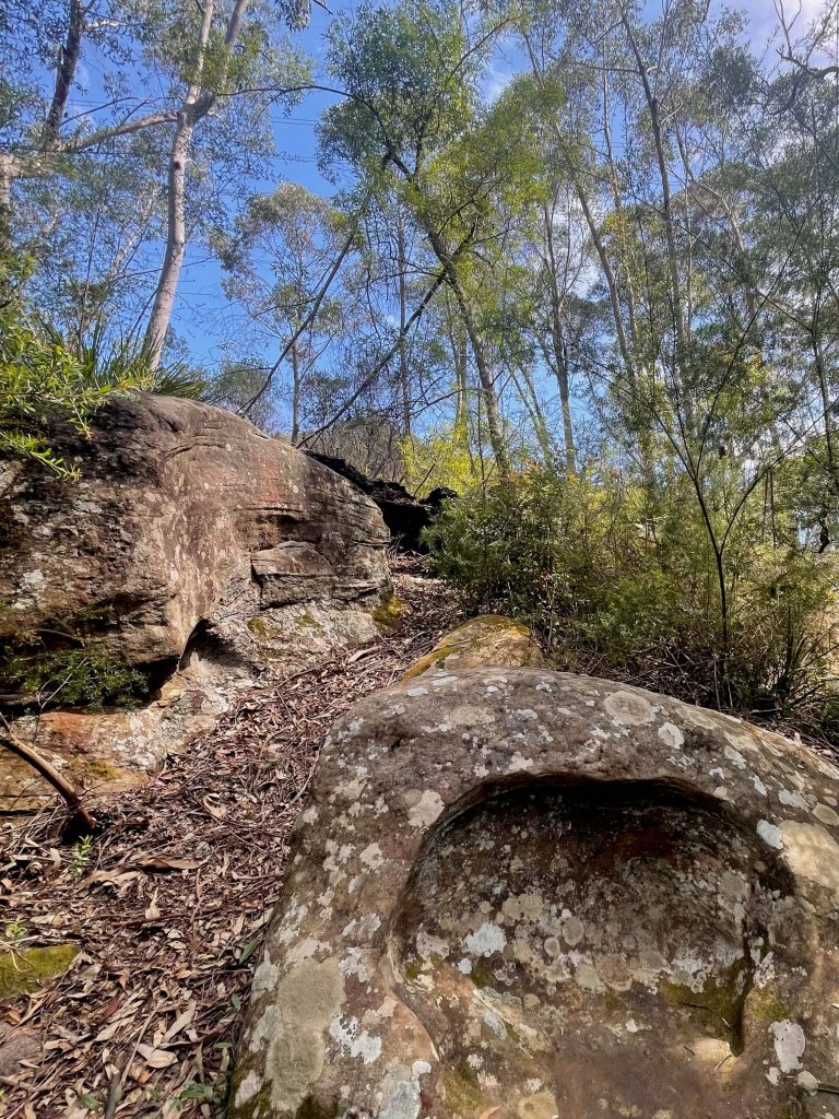 Great North Walk: Thornleigh to Hornsby (Elouera Walk) Great North Walk (Elouera Walk) between Thornleigh and Hornsby