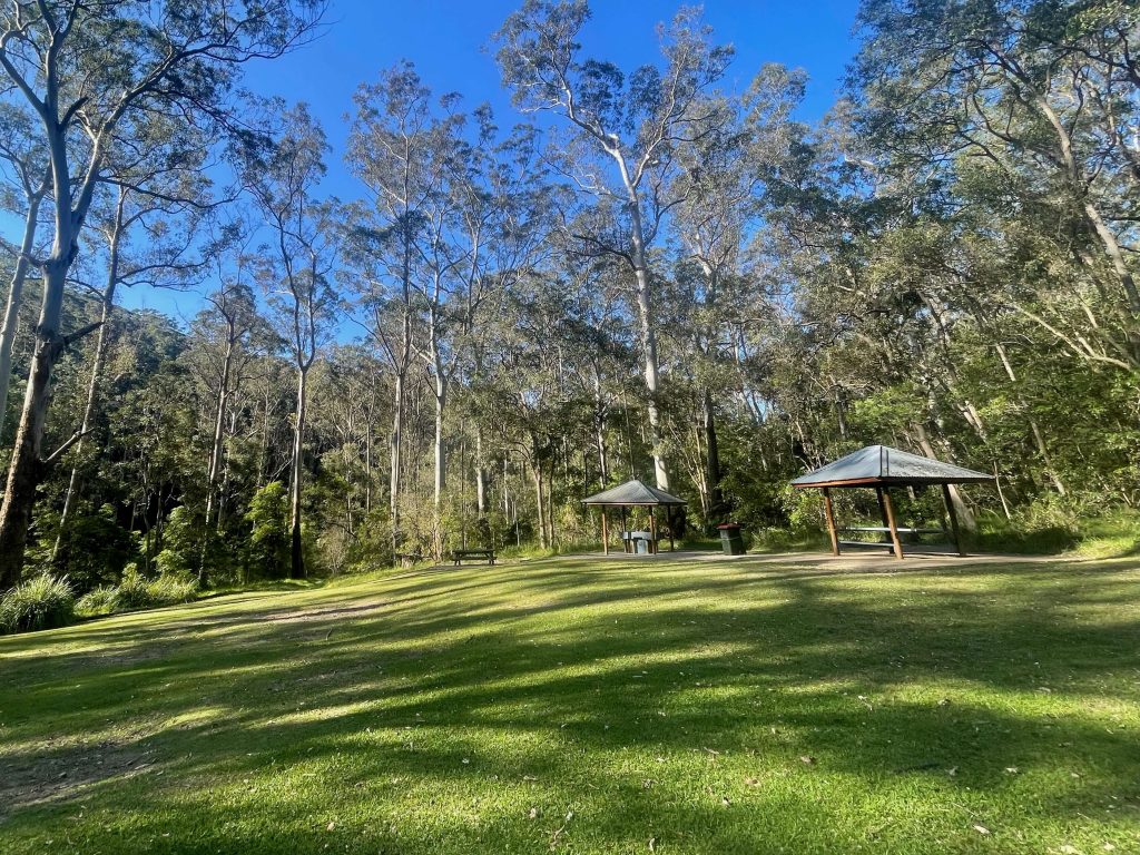 Great North Walk: Thornleigh to Hornsby (Elouera Walk) Rosemead Road picnic area in Hornsby