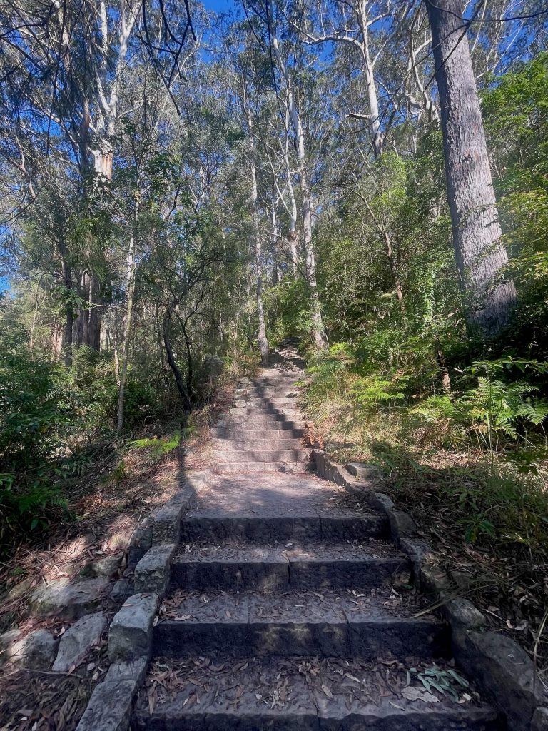 Great North Walk: Thornleigh to Hornsby (Elouera Walk) Hornsby Heritage Steps